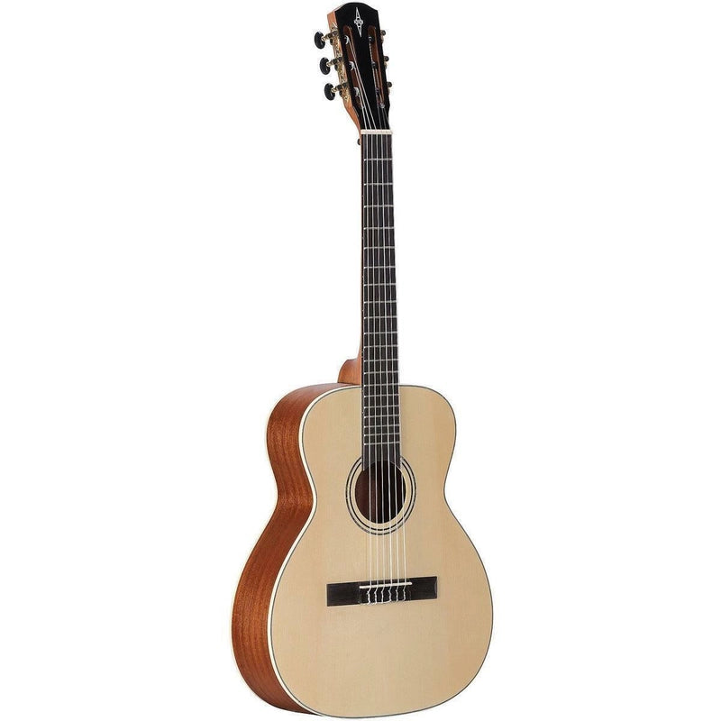 Acoustic Guitar: Alvarez Regent &