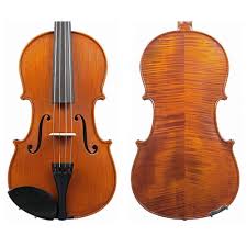 Viola: Gliga Vasile Christian 15"