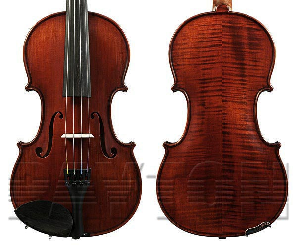 Violin Gliga Vasile 4/4 Violin Professional Dark Antique OUTFIT