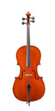 Cello Outfit Eastman 